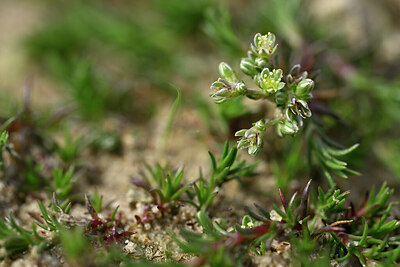 BUITEN BEELD Foto: 433362