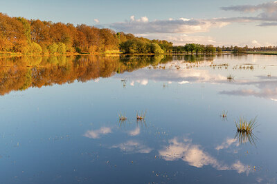 BUITEN BEELD Foto: 433504