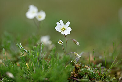 BUITEN BEELD Foto: 433672