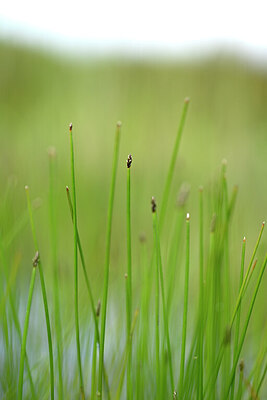 BUITEN BEELD Foto: 433673