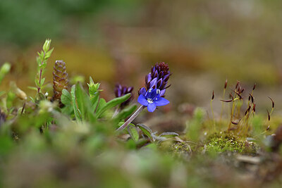 BUITEN BEELD Foto: 433680