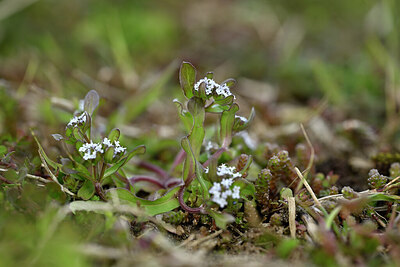 BUITEN BEELD Foto: 433699