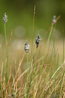 BUITEN BEELD Foto: 433703