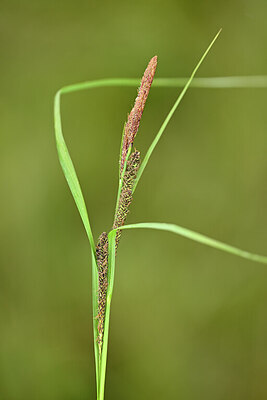 BUITEN BEELD Foto: 433704