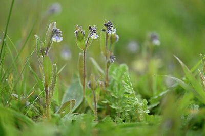 BUITEN BEELD Foto: 433732