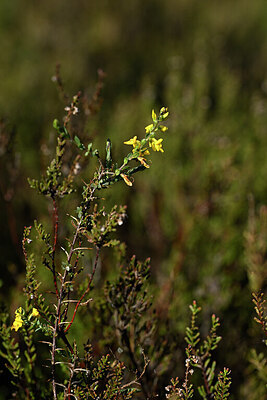 BUITEN BEELD Foto: 433735