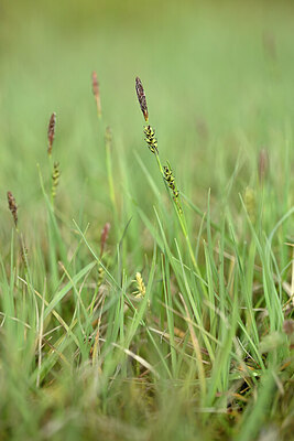 BUITEN BEELD Foto: 433741