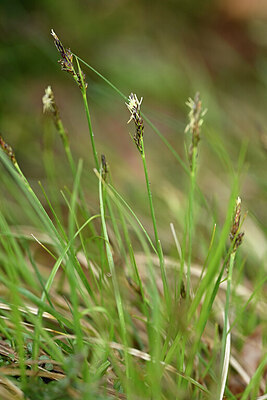 BUITEN BEELD Foto: 433745