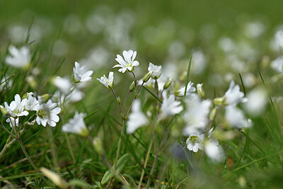 BUITEN BEELD Foto: 433749