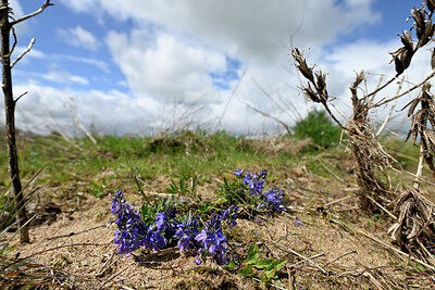 BUITEN BEELD Foto: 433767