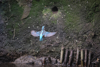 BUITEN BEELD Foto: 434001