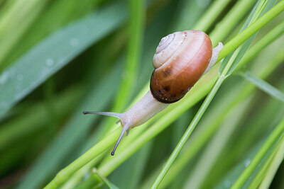 BUITEN BEELD Foto: 434024