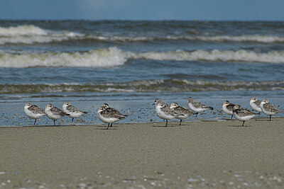 BUITEN BEELD Foto: 434078