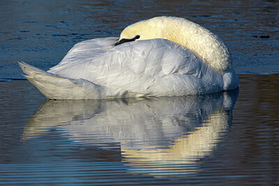 BUITEN BEELD Foto: 434109