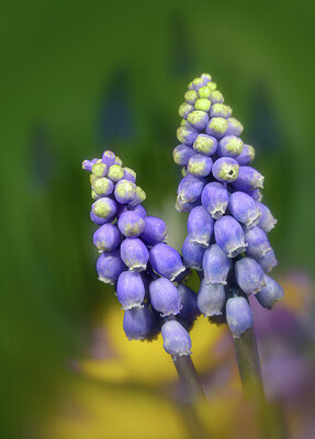 BUITEN BEELD Foto: 434130