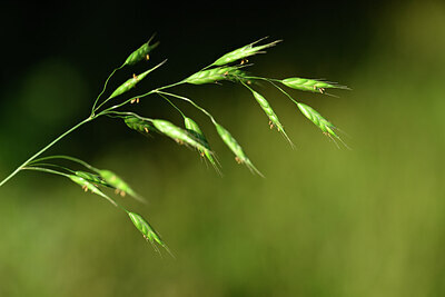 BUITEN BEELD Foto: 434181