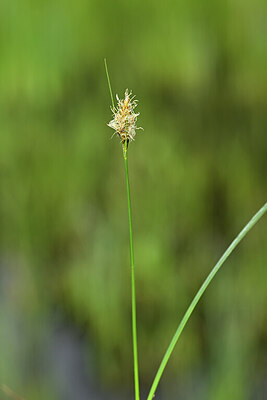 BUITEN BEELD Foto: 434196