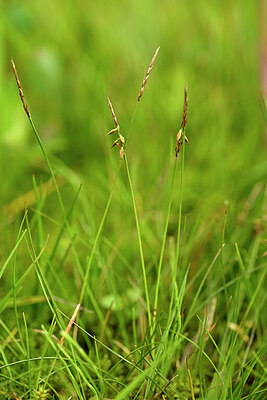 BUITEN BEELD Foto: 434200