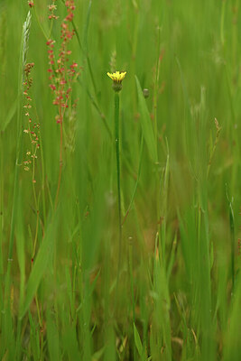 BUITEN BEELD Foto: 434213