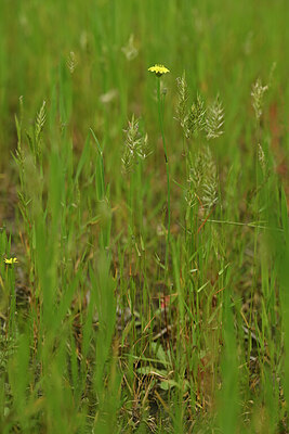 BUITEN BEELD Foto: 434222