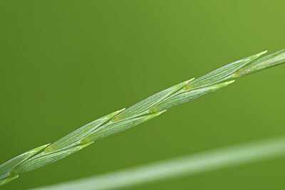 BUITEN BEELD Foto: 434233