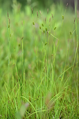 BUITEN BEELD Foto: 434241