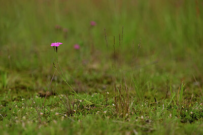 BUITEN BEELD Foto: 434253