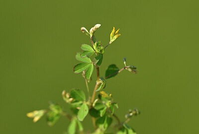 BUITEN BEELD Foto: 434305