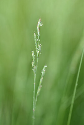 BUITEN BEELD Foto: 434306