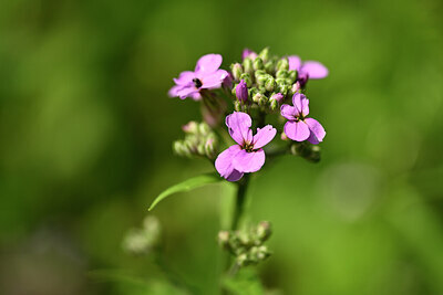 BUITEN BEELD Foto: 434315