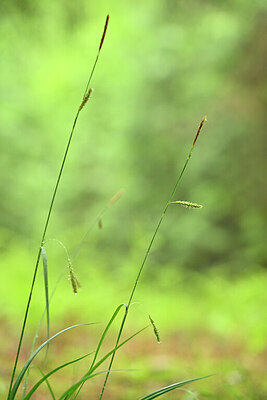 BUITEN BEELD Foto: 434320