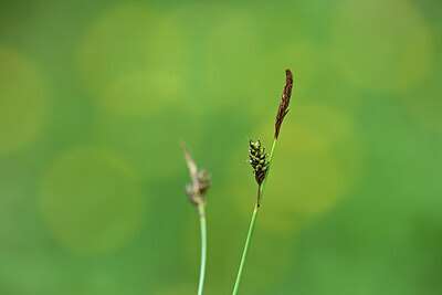 BUITEN BEELD Foto: 434325