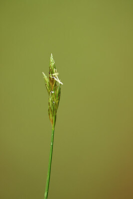 BUITEN BEELD Foto: 434330