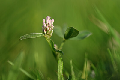 BUITEN BEELD Foto: 434351