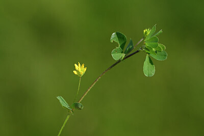 BUITEN BEELD Foto: 434353