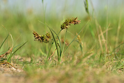 BUITEN BEELD Foto: 434354