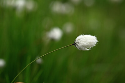BUITEN BEELD Foto: 434360