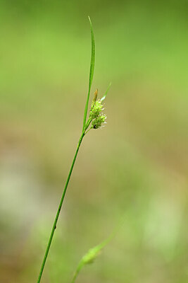 BUITEN BEELD Foto: 434364