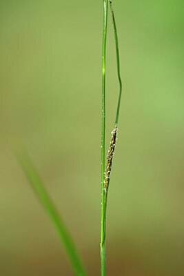 BUITEN BEELD Foto: 434381