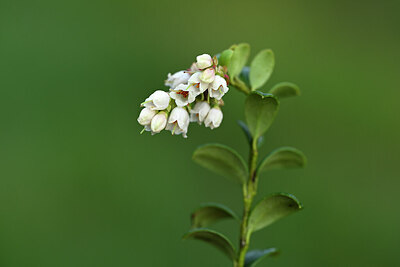 BUITEN BEELD Foto: 434387