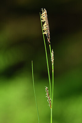 BUITEN BEELD Foto: 434407