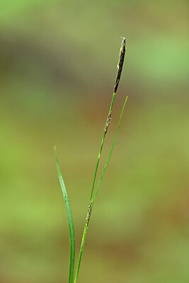 BUITEN BEELD Foto: 434420