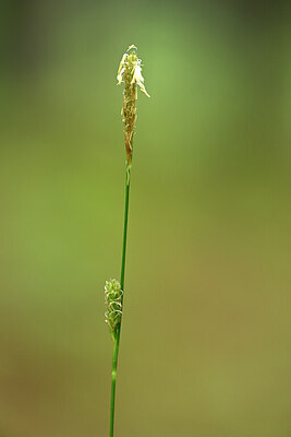 BUITEN BEELD Foto: 434434