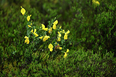 BUITEN BEELD Foto: 434490