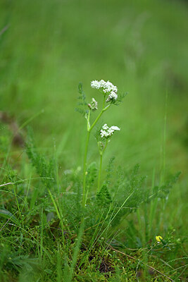 BUITEN BEELD Foto: 434492