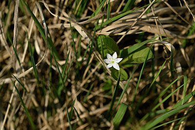BUITEN BEELD Foto: 434499