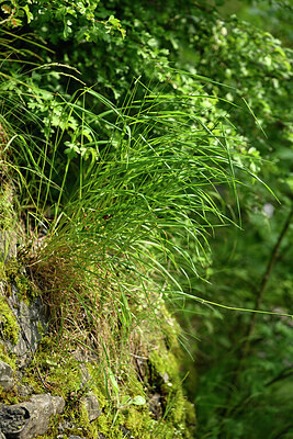 BUITEN BEELD Foto: 434522