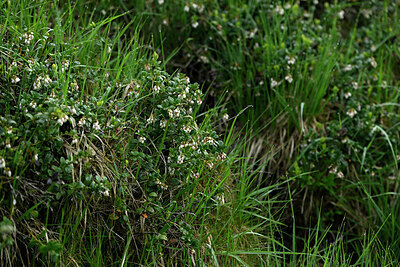 BUITEN BEELD Foto: 434549