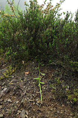 BUITEN BEELD Foto: 434554