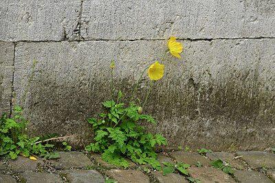 BUITEN BEELD Foto: 434568
